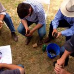 Assessing-Soil-texture-NSW